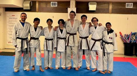 NEW BROWN BELTS